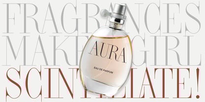 Didone Titling BF Font Poster 4