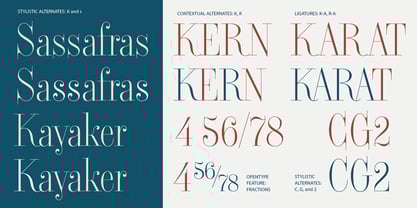 Didone Titling BF Font Poster 9