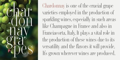 Didone Titling BF Font Poster 5