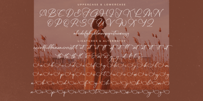 Redianta Brighters Font Poster 8