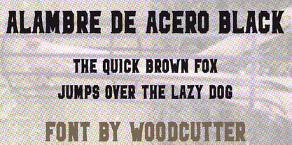 Alambre De Acero Font Poster 6