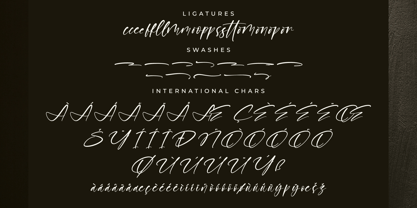 Boldatope Font Poster 8