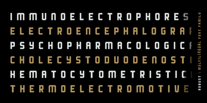 Robust Font Poster 8