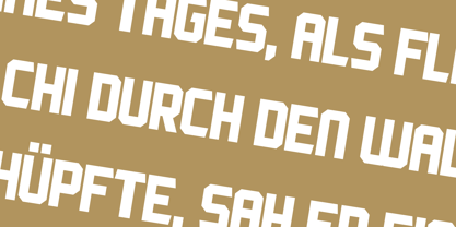 Robust Font Poster 15