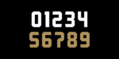 Robust Font Poster 5