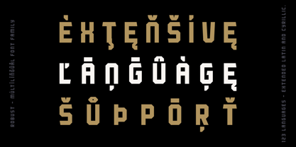 Robust Font Poster 2