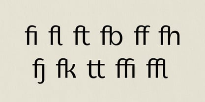 BT Giusto Variable Font Poster 5