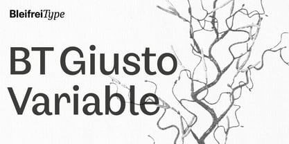 BT Giusto Variable Font Poster 1