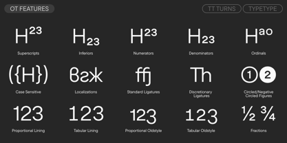 TT Turns Font Poster 12