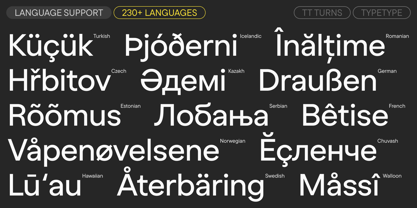 TT Turns Font Poster 7