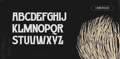 Dusborne Vintage Font Poster 13