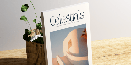 Mostlight Font Poster 6