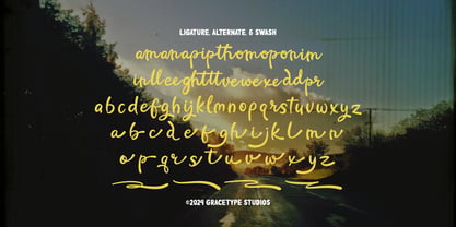 Romanelo Wandering Font Poster 12