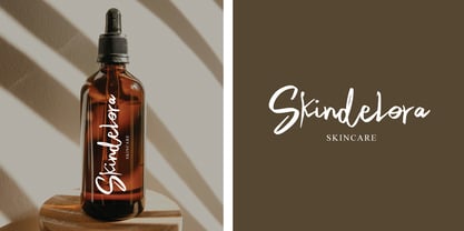 Camerta Signature Font Poster 5