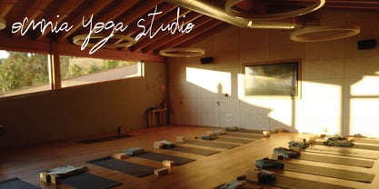 Camerta Signature Font Poster 8