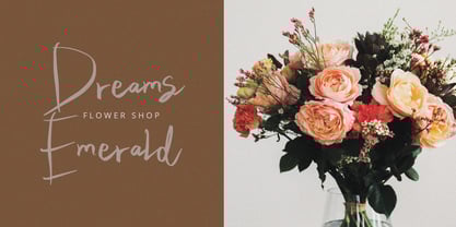 Camerta Signature Font Poster 7