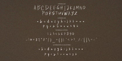 Camerta Signature Font Poster 9