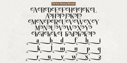 The New Memory Font Poster 14