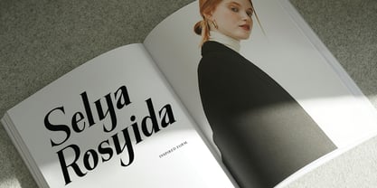 The New Memory Font Poster 2