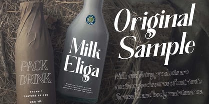 The New Memory Font Poster 5