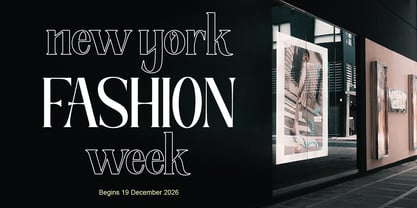 The New Memory Font Poster 3