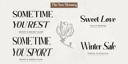 The New Memory Font Poster 12