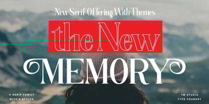 The New Memory Font Poster 1