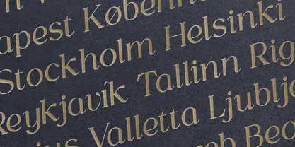 Gorga T VF Font Poster 10