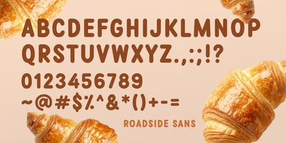 Roadside Sans Font Poster 3