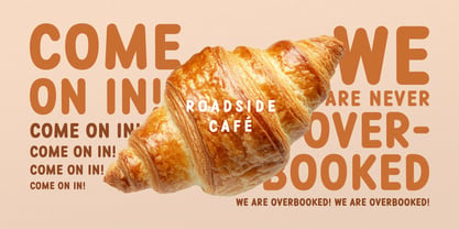 Roadside Sans Font Poster 5