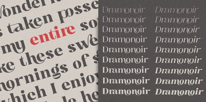 Dramonoir Font Poster 9