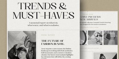 Dramonoir Font Poster 6