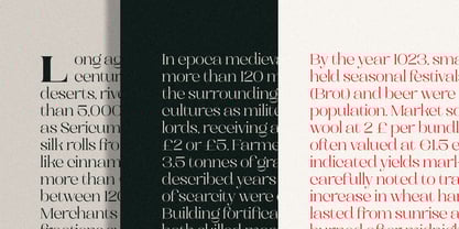 Dramonoir Font Poster 5