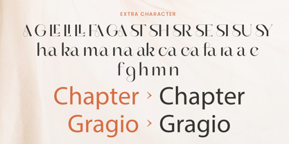 Gragio Font Poster 9