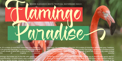 Magic Soft Font Poster 12