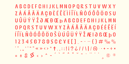 Bingro Font Poster 9