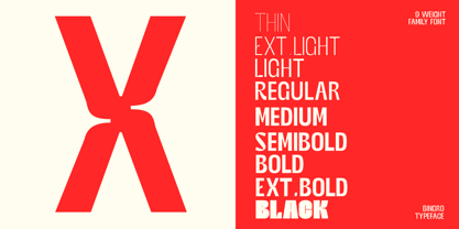 Bingro Font Poster 4