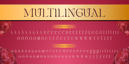 Chenolyta Font Poster 11