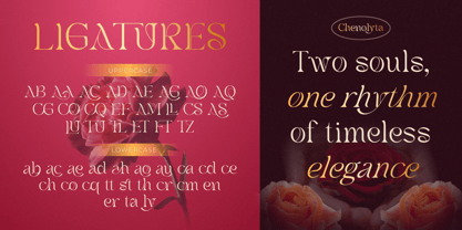 Chenolyta Font Poster 6
