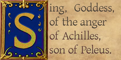 Omnella Font Poster 5