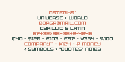 Borga Font Poster 11