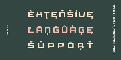 Borga Font Poster 2