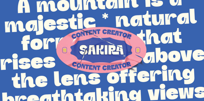 Dr Boysk Font Poster 6