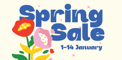 Dr Boysk Font Poster 7