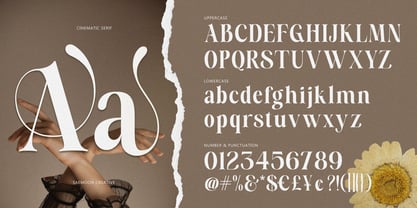 Aveline Eleganza Font Poster 5