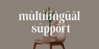 Aveline Eleganza Font Poster 13