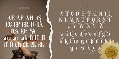 Aveline Eleganza Font Poster 10