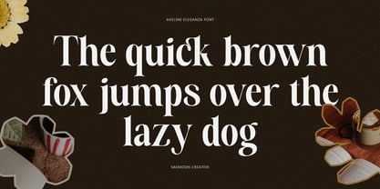 Aveline Eleganza Font Poster 11