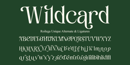 Roilega Font Poster 10