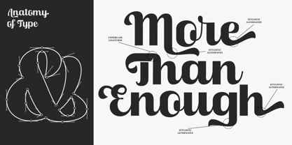 Skinno Font Poster 4